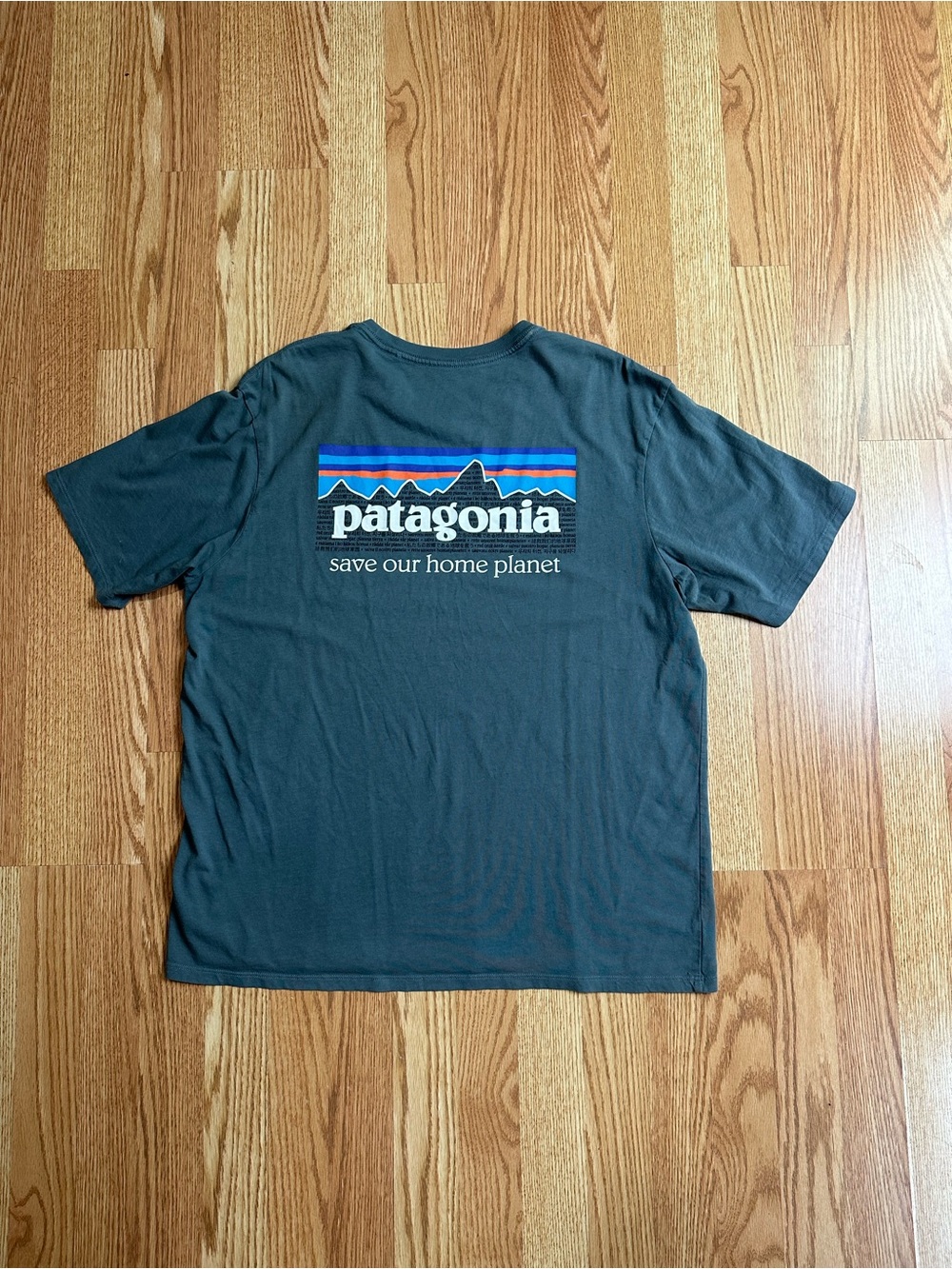 Patagonia 'Save Our Home Planet' Graphic Tee
